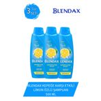Blendax Kepeğe Karşı Etkili Limon Özlü 3x500 ml Şampuan