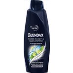 Blendax Men 500 ml Kepeğe Karşı Şampuan