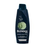 Blendax Men Kepeğe Karşı Etkili Doğal Kil Özlü 2x500 ml Şampuan