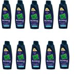 Blendax Men Mentol Ferahlığı Nane Özlü 10x470 ml Şampuan