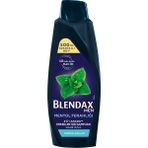 Blendax Nane Özlü Erkek Şampuanı 500 ml 4 Adet