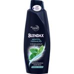 Blendax Normal Saçlar İçin 500 ml Dolgunlaştırıcı Mentollü Şampuan