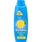 Blendax Şampuan 500 ml Kepeğe Karşı Etkili (5 Adet)