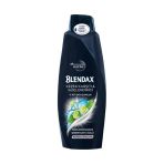 Blendax Şampuan 500 Ml Men Kepeğe Karşı Etkili Doğal Kil Özlü 4 Ü 1 Arada 8690572805695