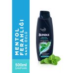 Blendax Şampuan 500 Ml Men Mentol Ferahlığı 4 Ü 1 Arada 8690572798553