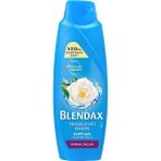 Blendax Şampuan 500 ml Yasemin Özlü (5 Adet)