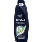 Blendax Tüm Saçlar İçin 500 ml Kepek Önleyici 2'si 1 Arada Şampuan
