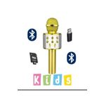 Blic BLS-25 Usb Tf Kart Aux Karaoke Mikrofon