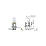 Blick Ampul, H3, 12V, 55W