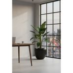 Bliss Lale Dekoratif Siyah Saksı 52 Lt - Büyük Boy Modern Salon & Bahçe Saksısı