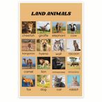 Bliss Monkey Co. Kara Hayvanları Posteri - Hayvan Tanımlama Tablosu - Yaban Hayatı Duvar Sanatı - Zooloji Tablosu - Yaban Hayatı Habitat Tablosu 30 x 45 cm Poster - Çerçevesiz - Premium 45 kg Parlak - ABD'de