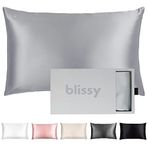 Blissy İpek Yastık Kılıfı -%100 Saf Dut İpeği - 22 Momme 6A Yüksek Sınıf Lifler - Saç ve Cilt için Saten Yastık Kılıfı - Normal, Kraliçe ve Kral Gizli Fermuarlı