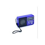 BLOMSTER EVERTON RT-303 USB/BT/FM RADYO MÜZİK KUTUSU