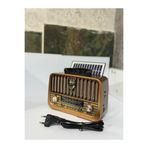BLOMSTER Everton rt-878 Solar enerjili nostajik radyo müzik çalar