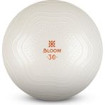 Bloom Lb7001 30 cm Beyaz Mini Pilates Topu Pompası