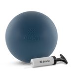 Bloom LB7003 20 Cm Premium Pilates Topu Mavi + Pompa