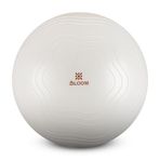 Bloom LB7051 65 cm Beyaz Pilates Topu