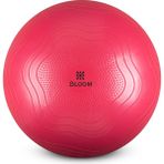 Bloom LB7051 65 cm Pembe Pilates Topu