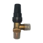 Blue Blr-6110/22 1/4''Sae-1/4''Npt Depo Vanası