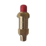 Blue Blr/Sv-Dn 1/2'' 19 Bar Likit Deposu Emniyet Valfi ( 1,9 Mpa Relief Valf)