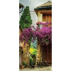 Blue Focus Provence 128 Parça