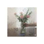 Blue Home Deco Linn Kendinden Yapışkanlı Buzlu Cam Folyo / Eni: 45 cm x 2 mt No: 50