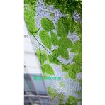 Blue Home Statik Cam Folyosu Meiwa Japon Teknolojisi Vitray 4dsx / Ebat: 46 Cm X 1,5 Mt-yaprak1