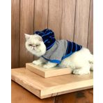 Blue Line Sweatshirt Kapşonlu Kedi Kıyafeti Kedi Sweatshirt