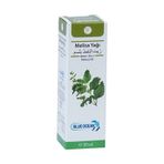 Blue Ocean 20 ml Melisa Yağı