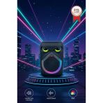 Bluetooth Hoparlör Rgb Işıklı Mikrofonlu 12W Kablosuz Taşınabilir Hoparlör D80 Siyah