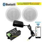 Bluetooth Özellikli Tavan Hoparlörü (Çift Hoparlör) Anfi Kullanmadan Ev-Işyerini Seslendirin