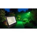 BMG Aydınlatma 100 Watt Smd LED Projektör Yeşil Işık Ağaç, Bahçe, Çim Aydınlatması