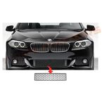 Bmw F10 Ön M-teknik Tampon Orta Izgarası 51117903894