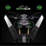 Bmw Motorrad R 1250 R Naked Kanat Ayna M00021