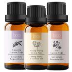 Boco Born In Cosmetics 3'lü Avantajlı Yumuşak, Parlak ve Geç Yağlanan Saçlar için Itır, Lavanta ve Ylang- ylang Saf Aromaterapi Uçucu Yağı, 30 ml