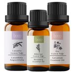 Boco Born In Cosmetics 3'lü Difüzör Karışımı Yenilenme ve Bereket Getiren Biberiye, Itır, Lavanta%100 Saf Uçucu Yağı /30 ml, Buhurdanlık ve Difüzör için