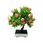 Bodur Bonsai Şeftali Ağacı Tohumu Ekim Seti 1 Adet Tohum + Saksı + Toprak