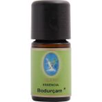 Bodur Çam Yağı - Organik 10 ml - Şeffaf