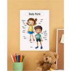 Body Parts-Vücudun Bölümleri Ingilizce Çocuk Eğitim Tekli Pvc Poster 21X30 cm