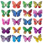 Bofanze 40 adet kelebek dekorasyonu, klipsli, 12 cm, klipsli 3D kelebekler, plastik kelebek, renkli yapay kelebek, ilkbahar çiçek saksısı, yemek masası, çocuk odası dekorasyonu için
