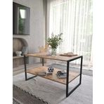 Bofigo 50x90 Metal Orta Sehpa Dikdörtgen Orta Sehpa Raflı Kahve Sehpası Çam