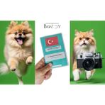 Boldy Pet Pasaport Kılıfı - Evcil Hayvan Pasaport Koruyucu - Pet Pasaportluk - Köpek Pasaport Kılıfı - Evcil Hayvan Pasaport Kılıfı - Şeffaf