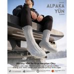 Bolero Erkek Alpaka Yün Kışlık Çorap Gri - 41 - 45