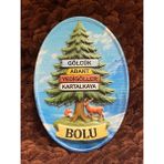 Bolu Temalı Oval Magnet, Gölcük Abant Yedigöller Kartalkaya, Hediyelik Buzdolabı Magneti - 1 TB - 1 GB