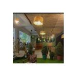 Bolvadi Natural 60CM X 200CM Bambu Kamış Hasır Çit Dekoratif Bahçe Balkon ve Duvar Çiti Reed Fence