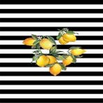 Bona Fortuna Limon Desenli Dijital Baskılı Kaymaz Taban Yıkanabilir Leke Tutmaz Mutfak Halısı - 180 x 280 cm - Siyah - Sarı