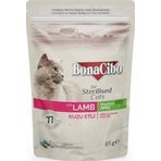 BonaCibo 85 gr Pouch Kuzu Etli Kısır Kedi Konservesi