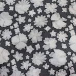 Boncuklu 14 Metre Dantel Kumaş ML1021
