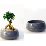 BONSAİ SAKSISI ANTRASİT 2 LT - DRENAJ HAZNELİ