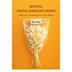 Bontia Doğal Pamuk Otu Demeti – Dekoratif Kuru Çiçek, Uzun Ömürlü Premium Lagurus